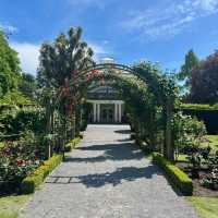 Christchurch Botanic Gardens 🌲🌴🌱🌿🍄🌹🌺🌾🌸