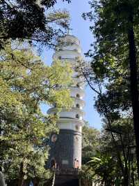 來鳳山森林公園徒步探險之旅