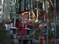 The Iconic Pathways of Fushimi Inari: Kyoto’s Must-See Shrine