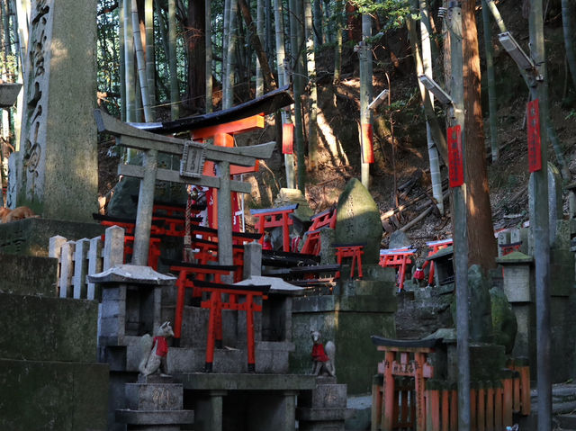 The Iconic Pathways of Fushimi Inari: Kyoto’s Must-See Shrine