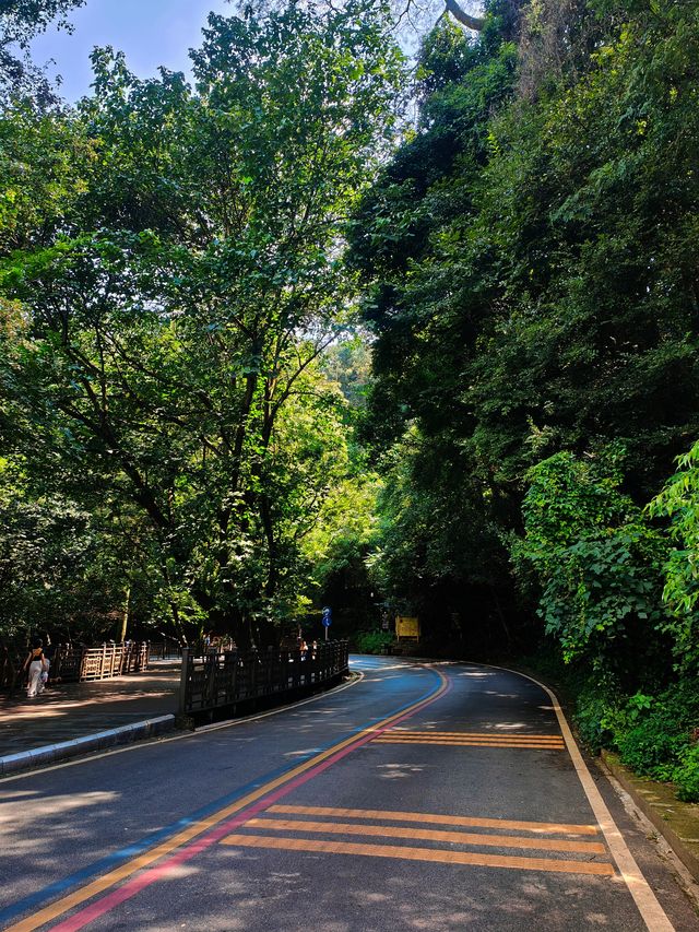 昆明周末爬山好去處—西山公園。