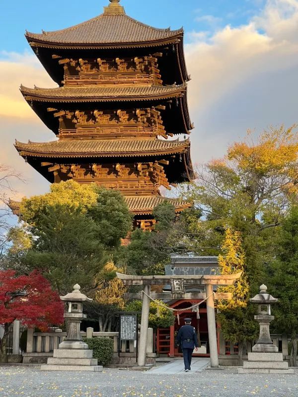 Explore the Stunning Autumn Foliage at Toji Temple in Kyoto!