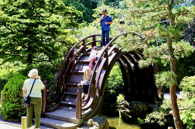 禪意流轉：舊金山日本茶園的寧靜之美