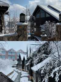 成都！西嶺雪山！雪景木屋！太美了！