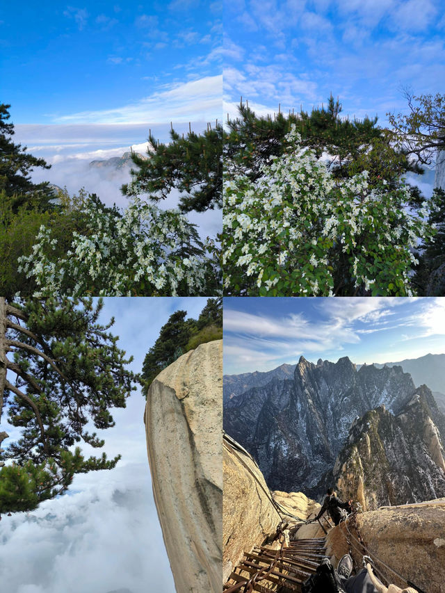 西嶽·華山   含淚拿下！值得去