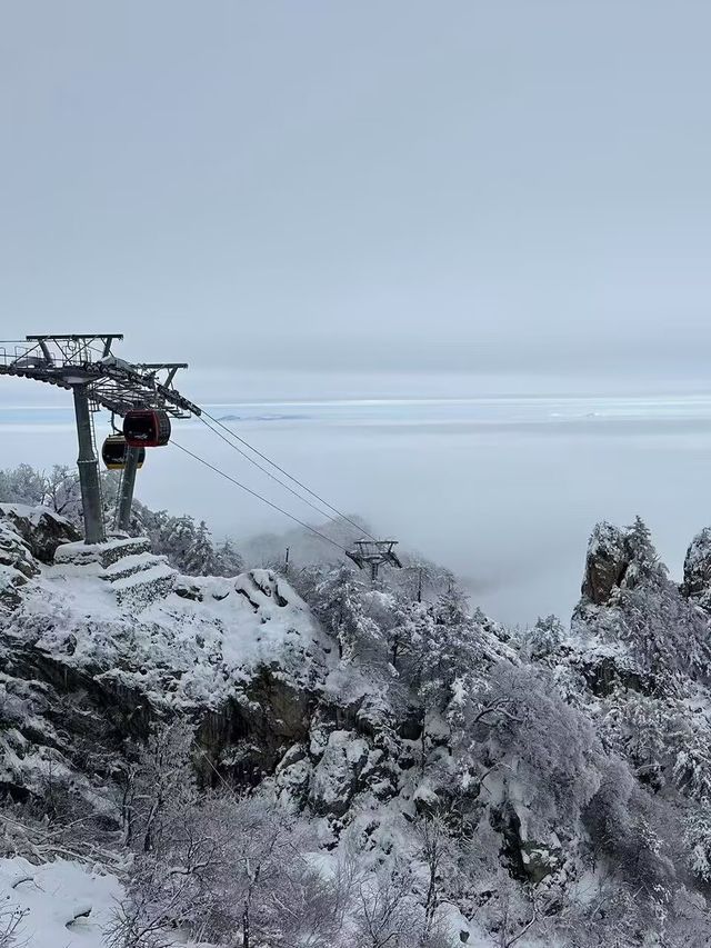 冬季賞雪 | 老君山賞雪、賞冰掛遊玩攻略，冬日必打卡