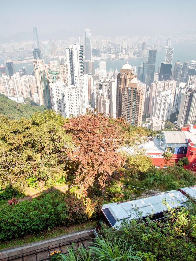 香港5日行程 吸引人的地方會震撼你