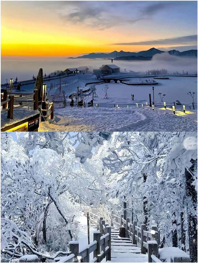 成都周邊玩雪怎麼選？ | 瓦屋山西嶺雪山