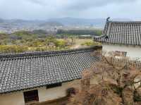 Himeji Castle and its Gardens 🏯