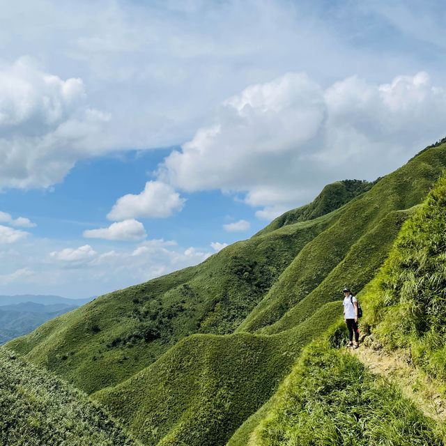 Matcha Mountain 