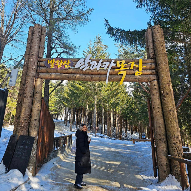 Winter Wonderland: Yongpyong Ski Resort's Delight