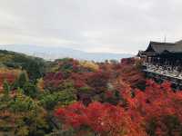 日本🇯🇵京都 - 清水寺最美的世界遺產