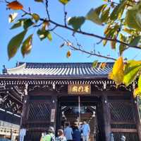 京都清水寺