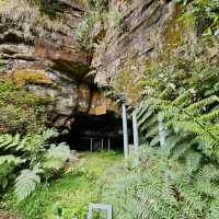 Thrilling Adventures at Scenic World Blue Mountains