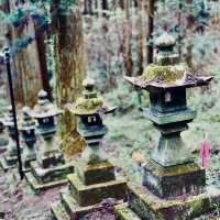 A creepy temple in Japan???