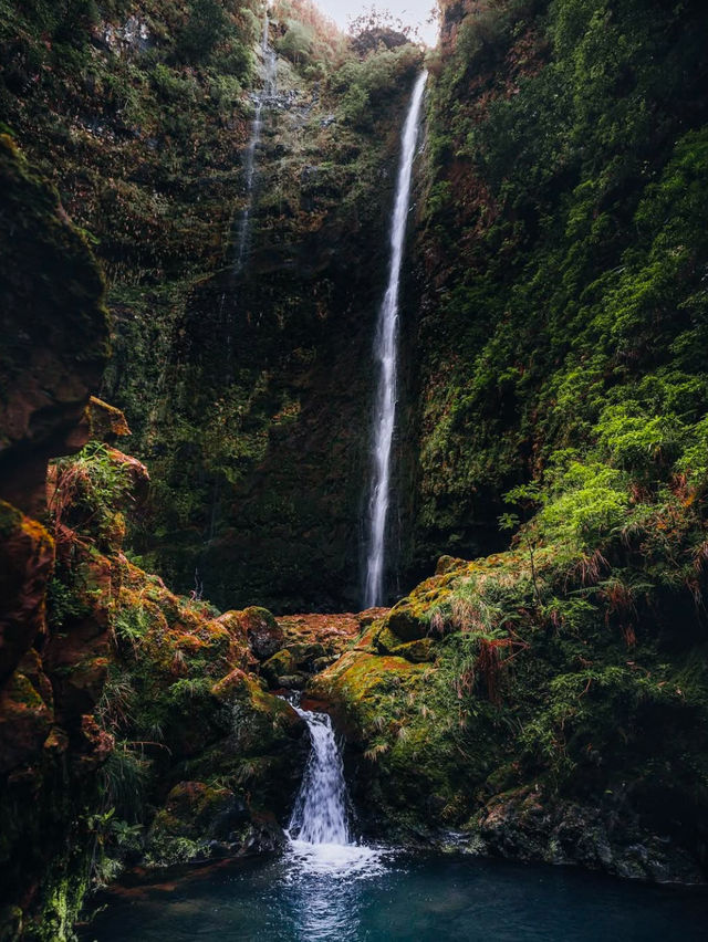 Madeira: A Slice of happiness 🥰