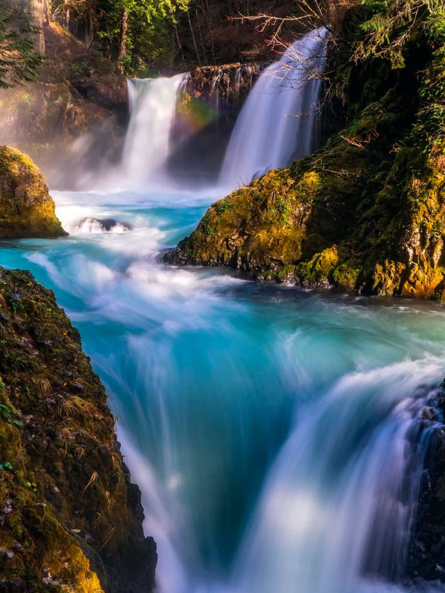 Exploring the Tranquil Waterfalls of the Pacific Northwest🚿