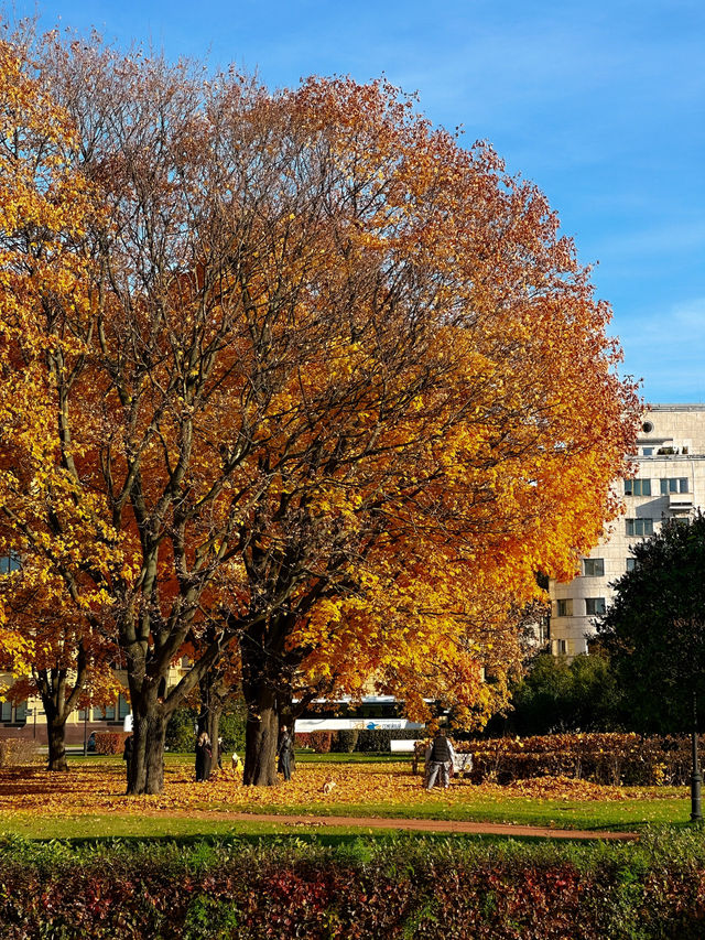 Bridges city: autumn in St. Petersburg