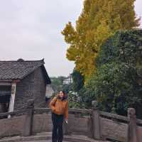 Xinchang Ancient Town (新场古镇) เมืองเก่าเล็กๆ