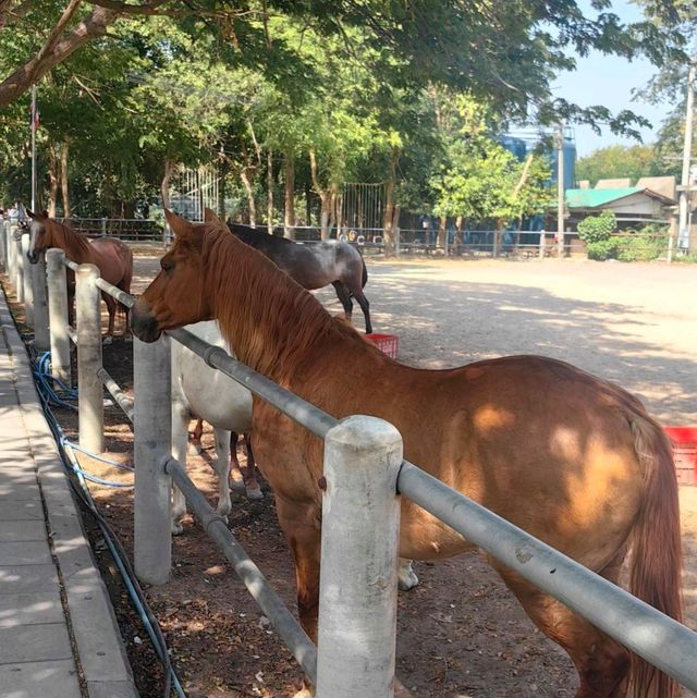 Wooden Wonder of Pattaya