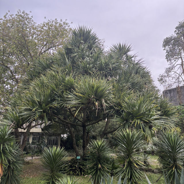 綠意盎然的城市秘境：臺北植物園遊記