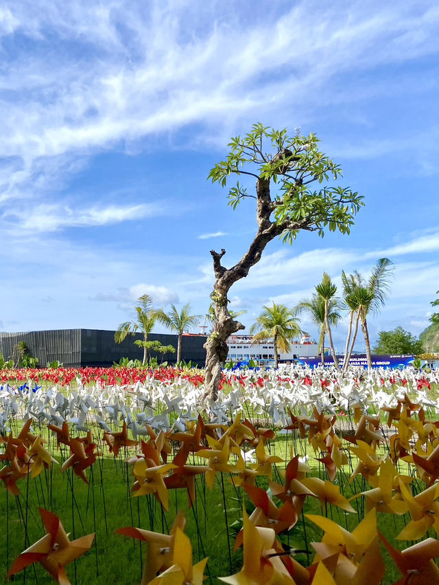 Labuan Bajo City Tour: Gateway to Adventure