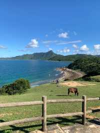 這不是新西蘭，這是20港幣直達的塔門島