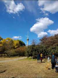 走進玉淵潭公園，邂逅浪漫花海