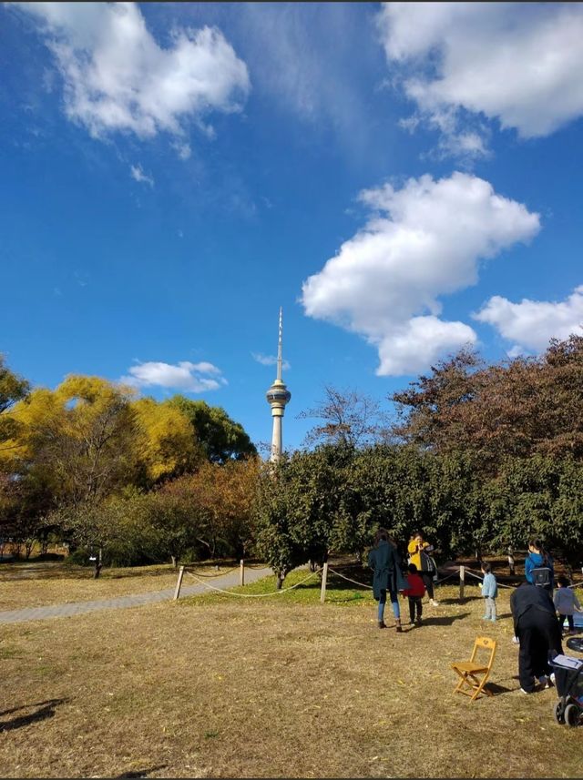 走進玉淵潭公園，邂逅浪漫花海