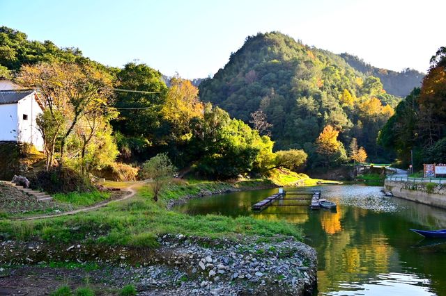 走進「新安江山水畫廊」