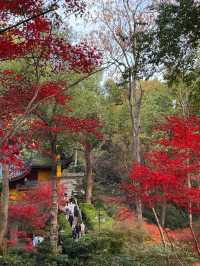 一份永福禪寺的旅遊攻略