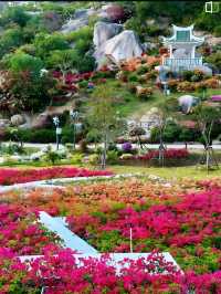 《廈門植物園｜繁花盛景，四季斑斕的生態畫卷