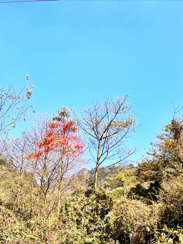 新手徒步必備——都江堰靈岩山