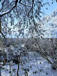 成都周邊一小時就可以看雪啦