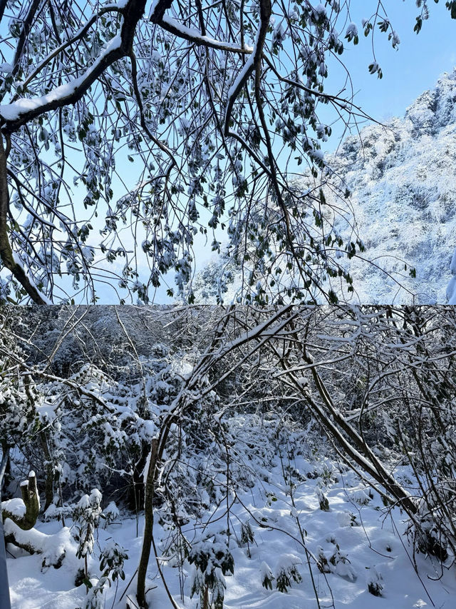 成都周邊一小時就可以看雪啦