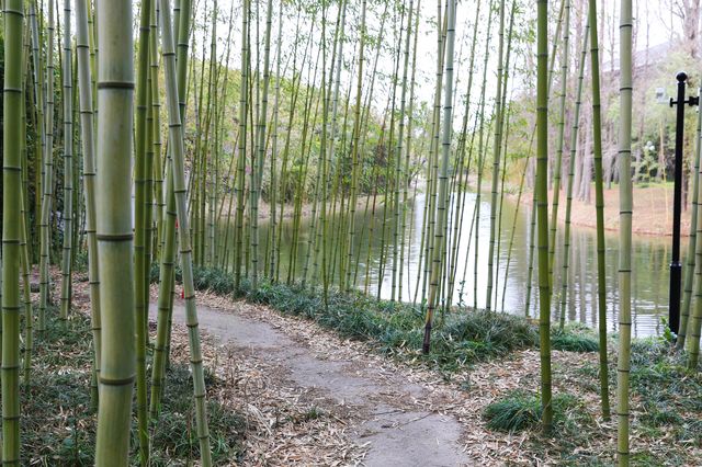 花園式賓館~~東郊賓館