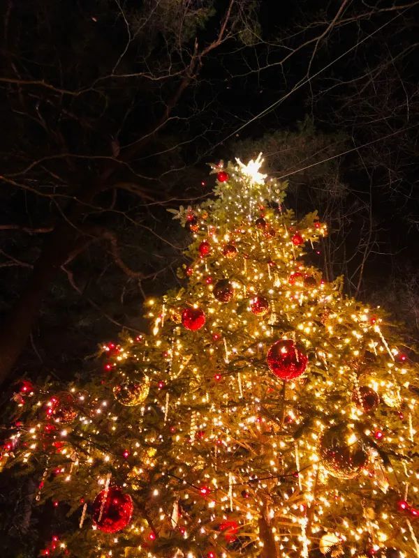 The Most Beautiful Christmas Experience at the Karuizawa Kogen Church