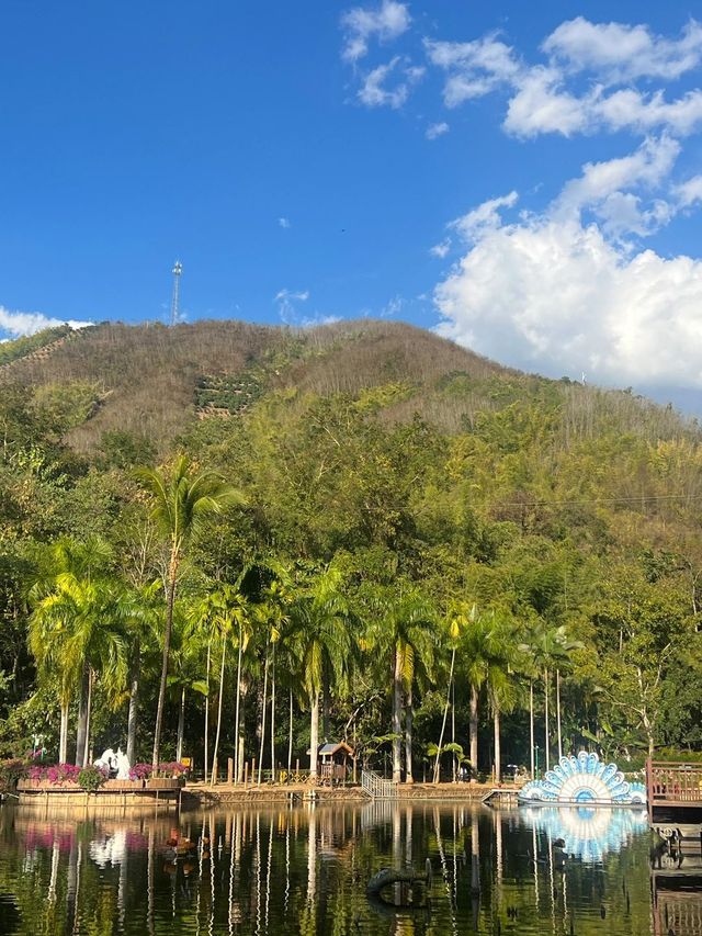 冬日避寒勝地雲南西雙版納-普洱旅遊攻略