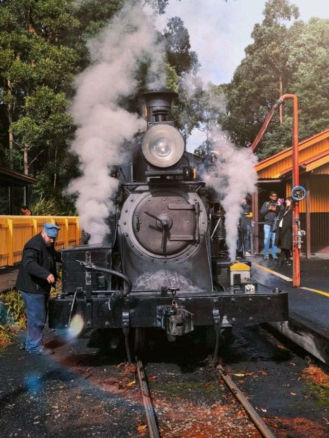 Puffing Billy Railway & Melbourne 🇦🇺