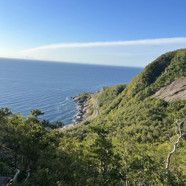 羅弗敦群島的經典健行步道—Reinebringen