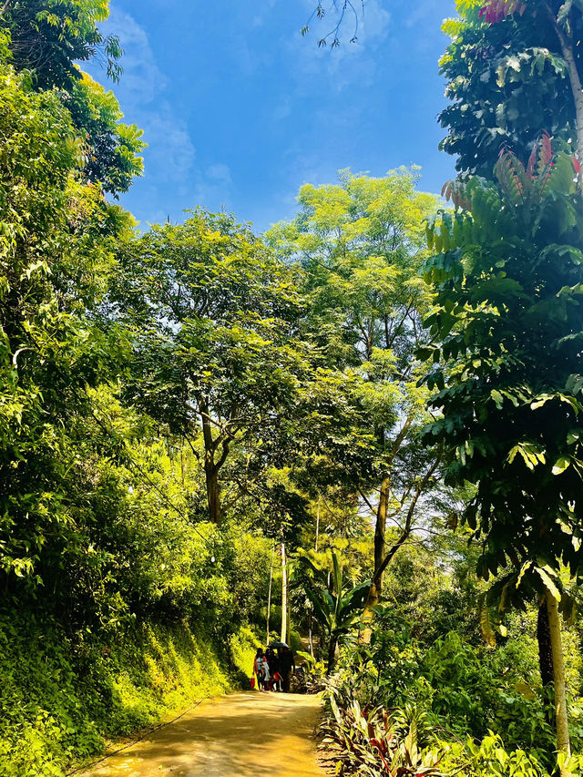 Hot Spring In Lembang 🇮🇩