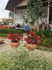 MUST VISIT : BEGONIA GARDEN, BANDUNG