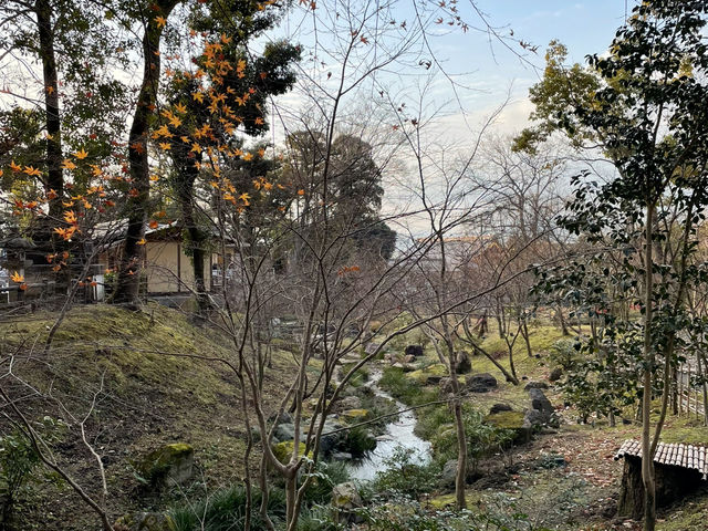 Pathways to Purity: Exploring the Timeless Trails of Fushimi Inari