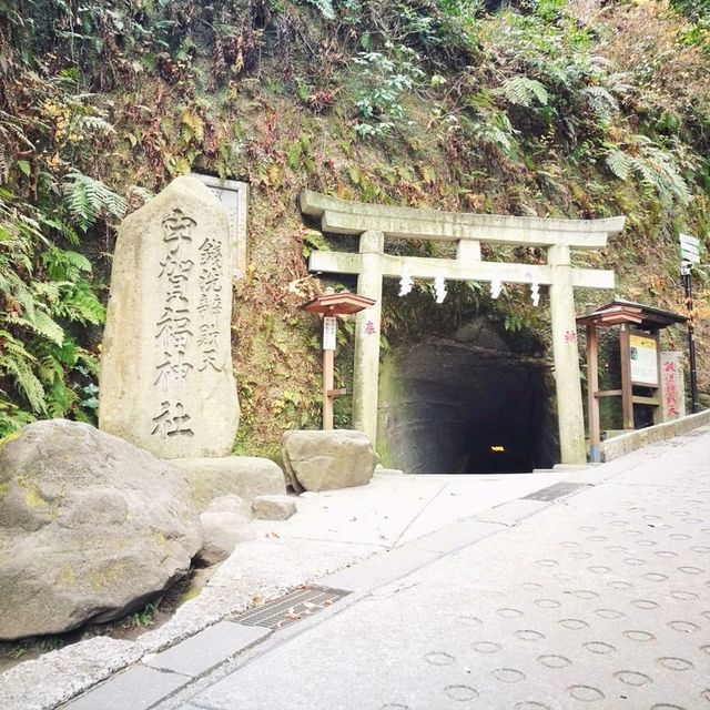 鎌倉 來宇賀福神社合法洗錢！ 