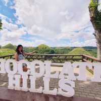 Bohol! Known for its stunning natural beauty, rich history, and unique attractions.