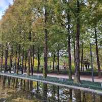 Seoul Forest Park 