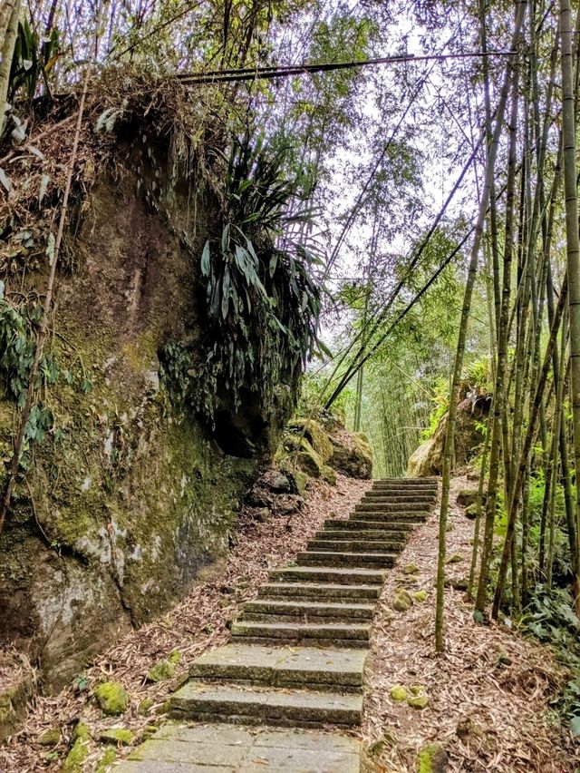 漫步奮起湖森林步道：小百岳大凍山