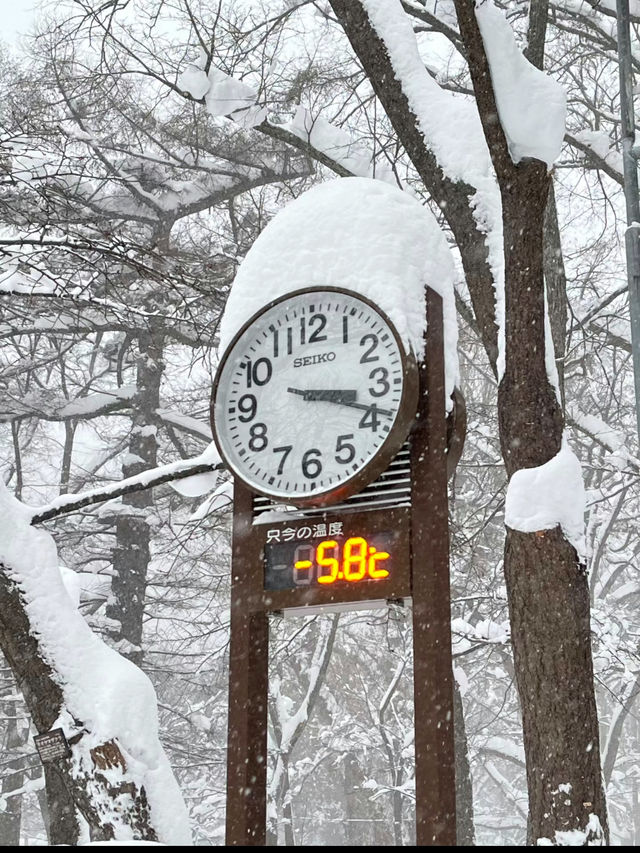 Hokkaido Jingu: A Sacred Shrine in the Heart of Sapporo