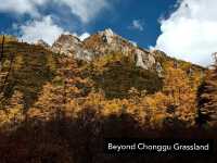 Best Autumn Viewing Experience 3/3 [Beyond Chonggu Grassland, Yading Nature Reserve]