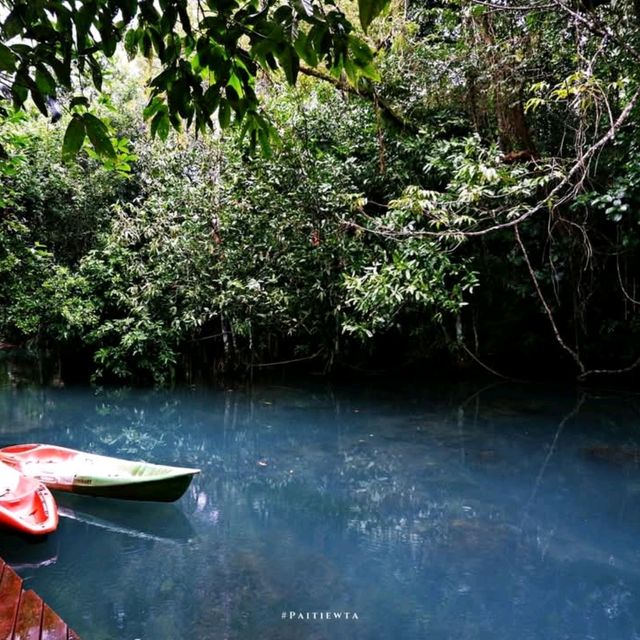 Blu Monkey Pooltara Krabi